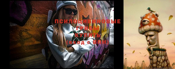 дурь Алзамай